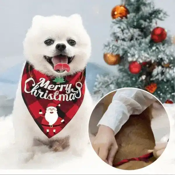 Bandană, șalul de Crăciun pentru câini