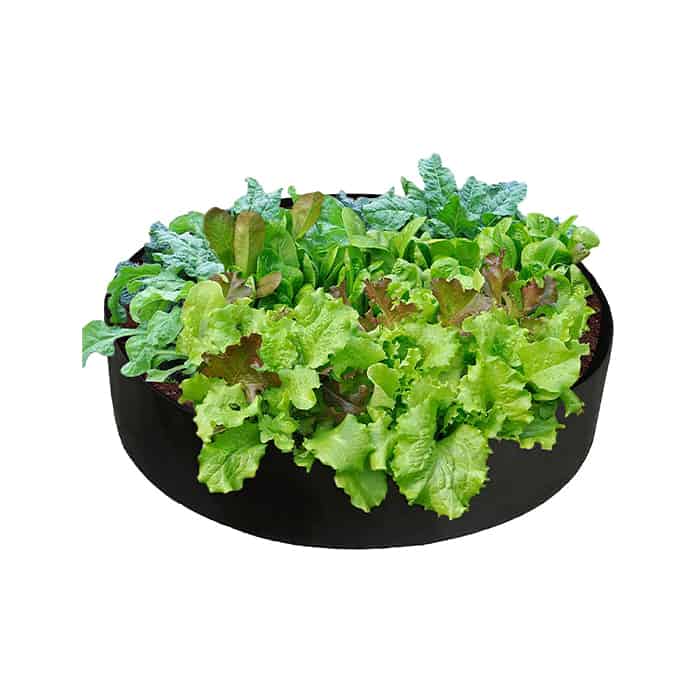 Garden GrowBag, o cutie de gradina pentru cultura plantelor realizata din material textil pentru o recolta bogata