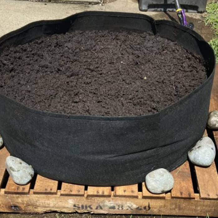 Garden GrowBag, o cutie de gradina pentru cultura plantelor realizata din material textil pentru o recolta bogata