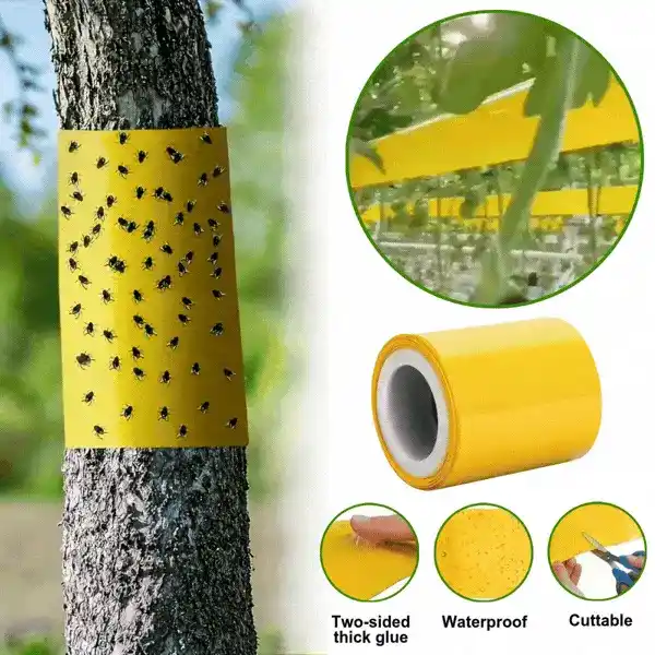 BarrierTape, bandă adezivă pentru prinderea insectelor