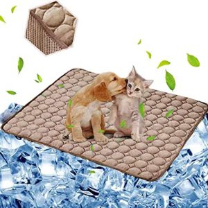 CoolingMat, covoraș de răcire pentru câini